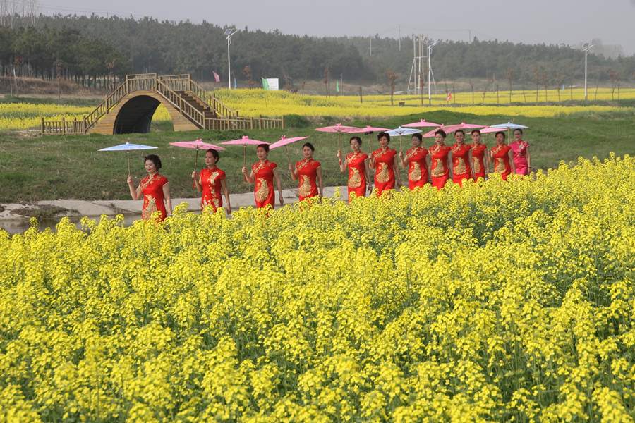 图:花海旗袍秀.JPG